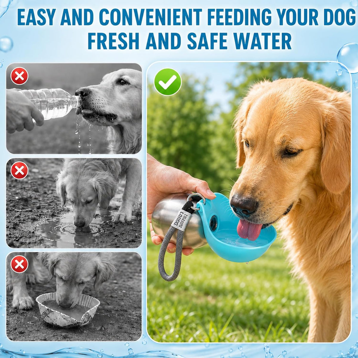 2-in-1 Portable Dog Water Bottle